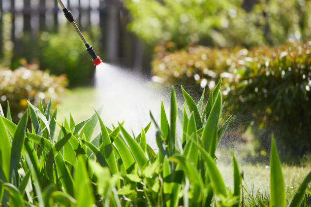 24/7 Emergency Wasp Removal experts in Goshen, IN