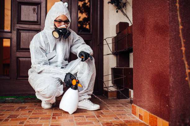 Reliable Wasp Removal contractor in Goshen, IN by Show Me Pest Control